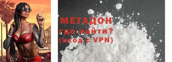 сатива Беломорск