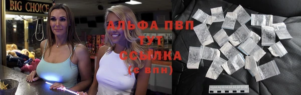 сатива Беломорск