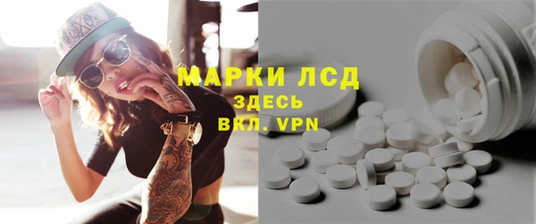 сатива Беломорск