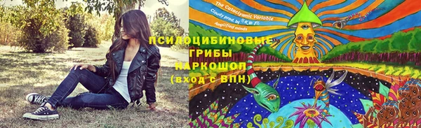 гидра Белокуриха
