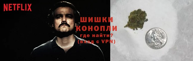гидра Белокуриха