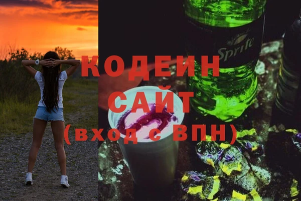 сатива Беломорск