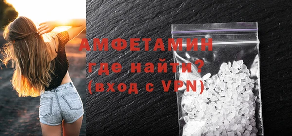 сатива Беломорск