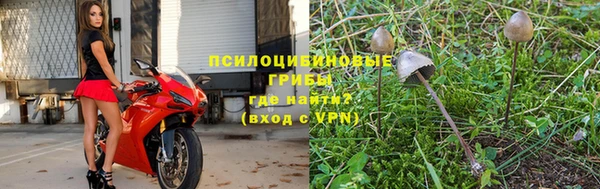 гидра Белокуриха