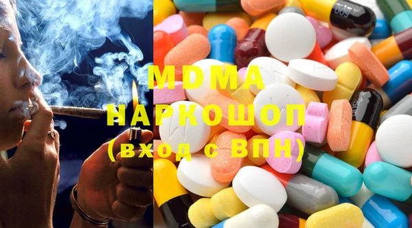 сатива Беломорск