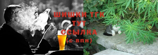 сатива Беломорск