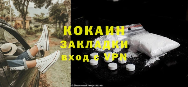шишки Белоозёрский