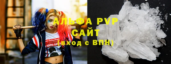 гидра Белокуриха
