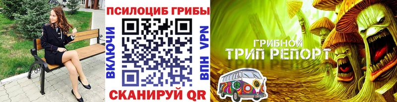 где найти наркотики маркетплейс наркотические препараты Галлюциногенные грибы мухоморы Обь